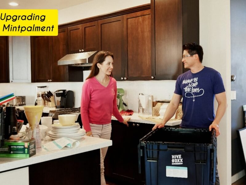 Home Upgrading Advice Mintpalment