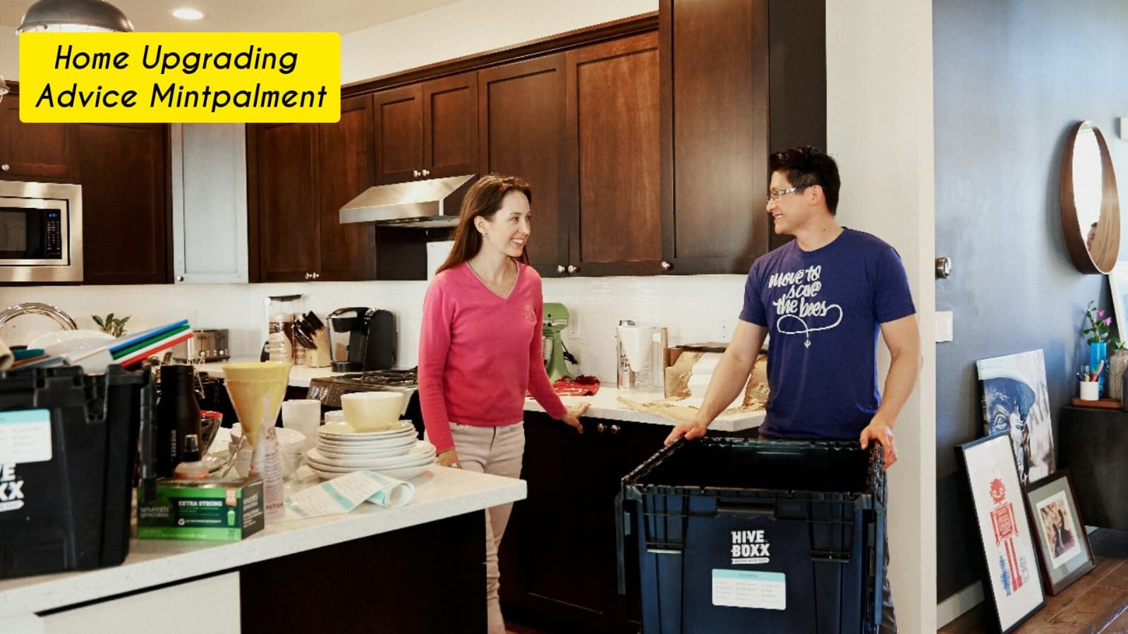 Home Upgrading Advice Mintpalment